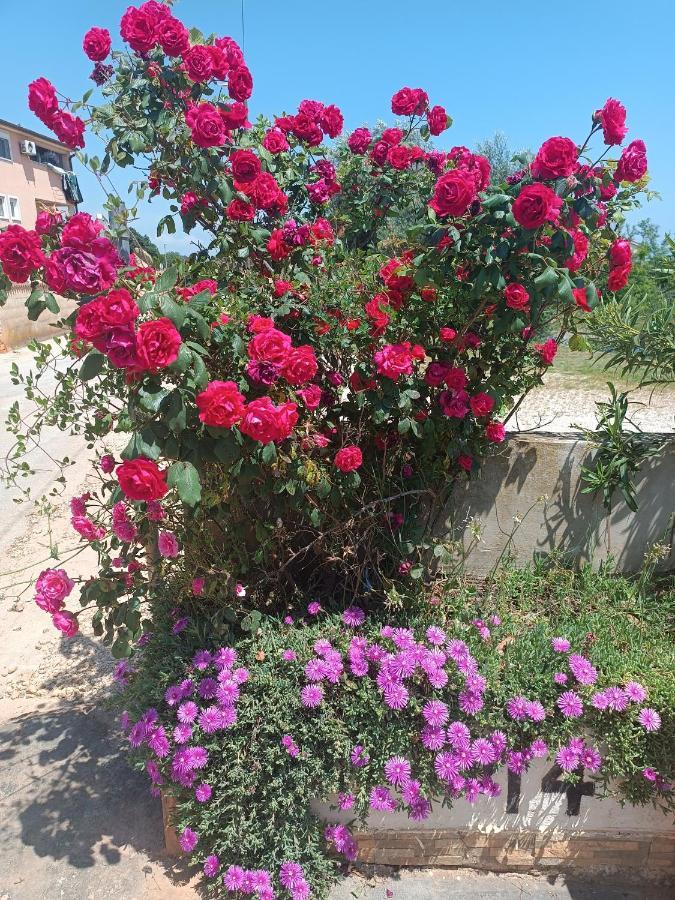 Appartamento Zupan *